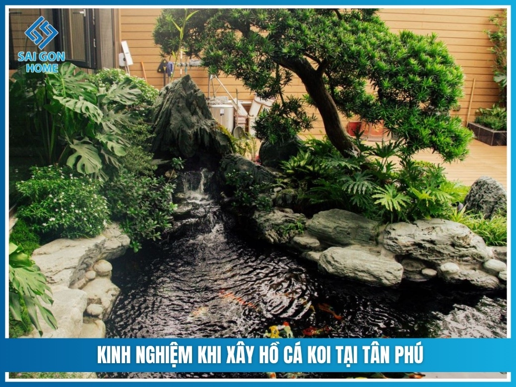 Kinh nghiệm khi xây hồ cá koi tại Tân Phú