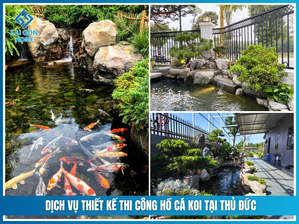 Dịch vụ thiết kế thi công hồ cá koi tại Thủ Đức