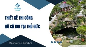 Thiết kế thi công hồ cá koi tại Thủ Đức uy tín GIÁ TỐT - Sanvuondep.net.vn