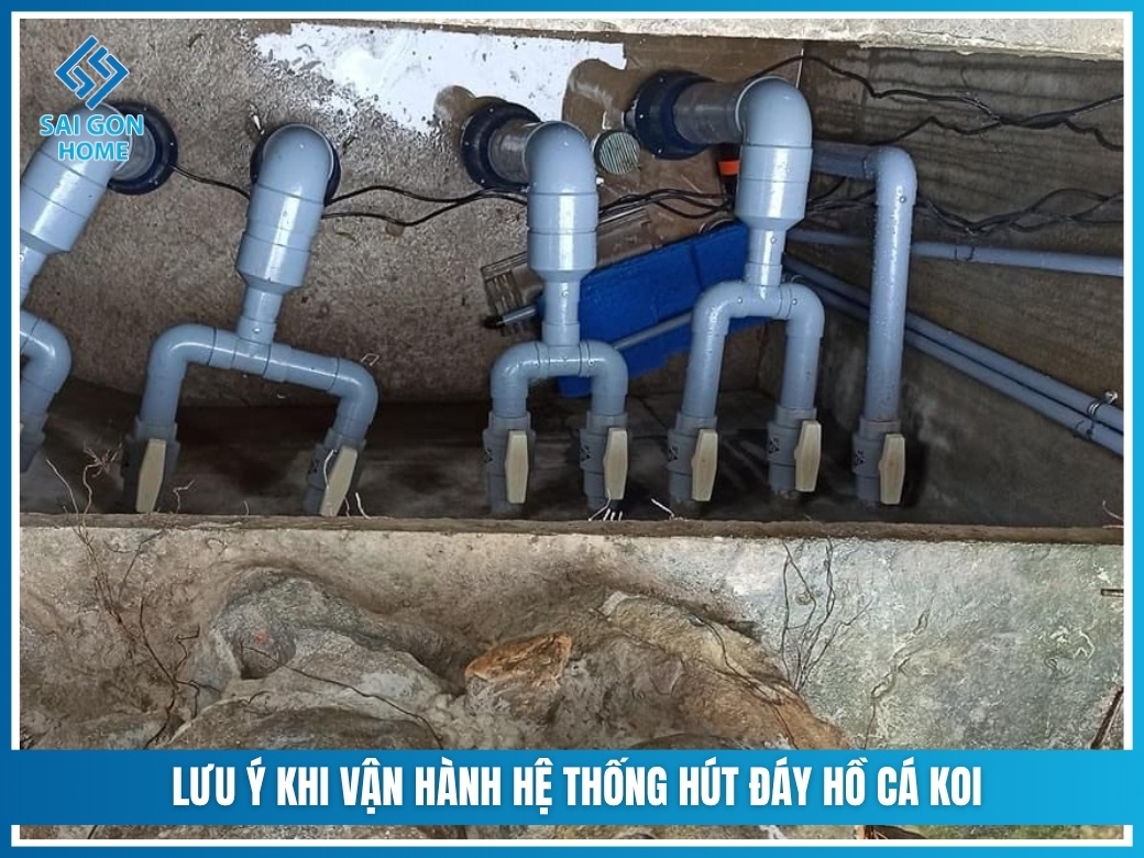 Cách làm hút đáy hồ cá koi đơn giản HIỆU QUẢ tại nhà 12 Một số lưu ý khi vận hành hệ thống hút đáy hồ cá Koi