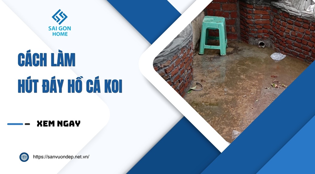 Cách làm hút đáy hồ cá koi đơn giản HIỆU QUẢ tại nhà 7 Cách làm hút đáy hồ cá koi đơn giản HIỆU QUẢ tại nhà - Sanvuondep.net.vn