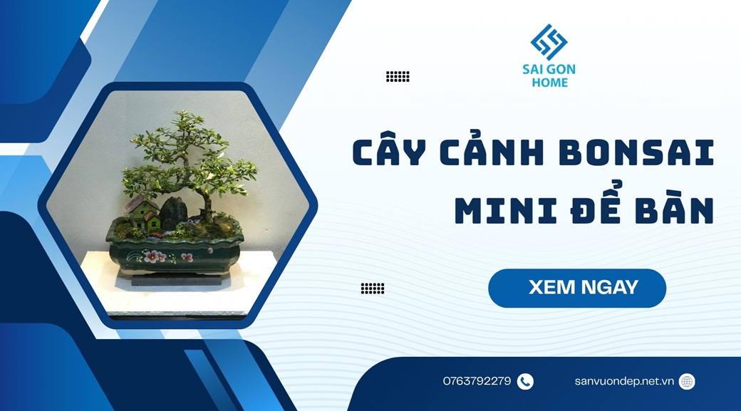 31+ loại cây cảnh bonsai mini để bàn đẹp hợp PHONG THỦY 8 31+ loại cây cảnh bonsai mini để bàn đẹp hợp PHONG THỦY