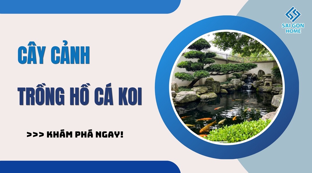 20 loại cây cảnh trồng hồ cá Koi đẹp hợp PHONG THỦY 9 20 loại cây cảnh trồng hồ cá Koi đẹp hợp PHONG THỦY - Sanvuondep.net.vn