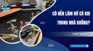 Có nên làm hồ cá Koi trong nhà không? Giải đáp CHI TIẾT - Sanvuondep.net.vn