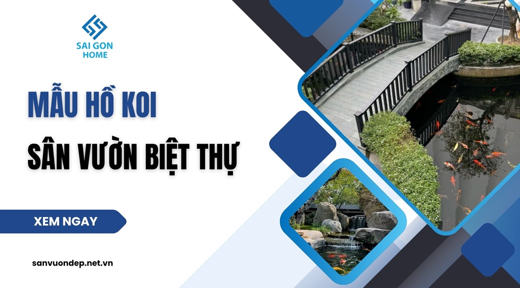 41 mẫu hồ Koi sân vườn biệt thự đẹp mắt ĐẲNG CẤP 8 41 mẫu hồ Koi sân vườn biệt thự đẹp mắt ĐẲNG CẤP - Sanvuondep.net.vn