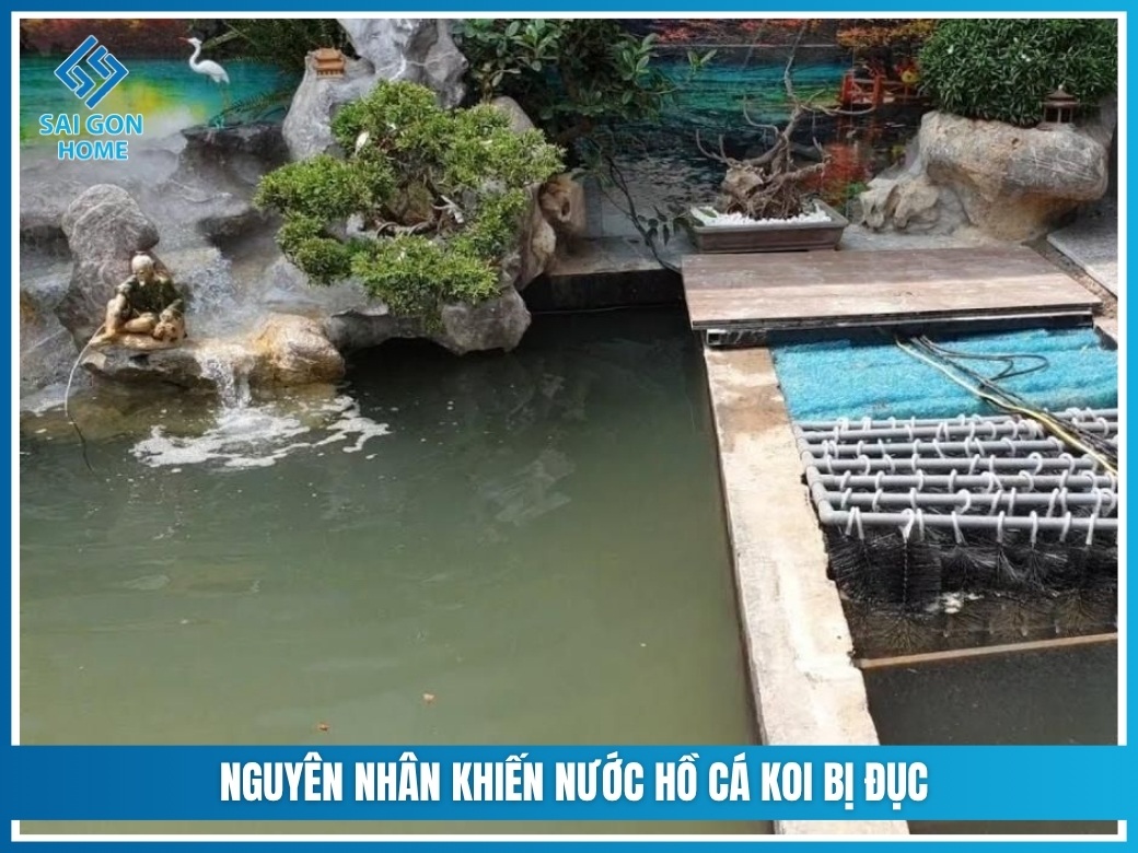 8 cách làm trong nước hồ cá Koi nhanh AN TOÀN hiệu quả 8 nguyên nhân khiến nước hồ cá Koi bị đục