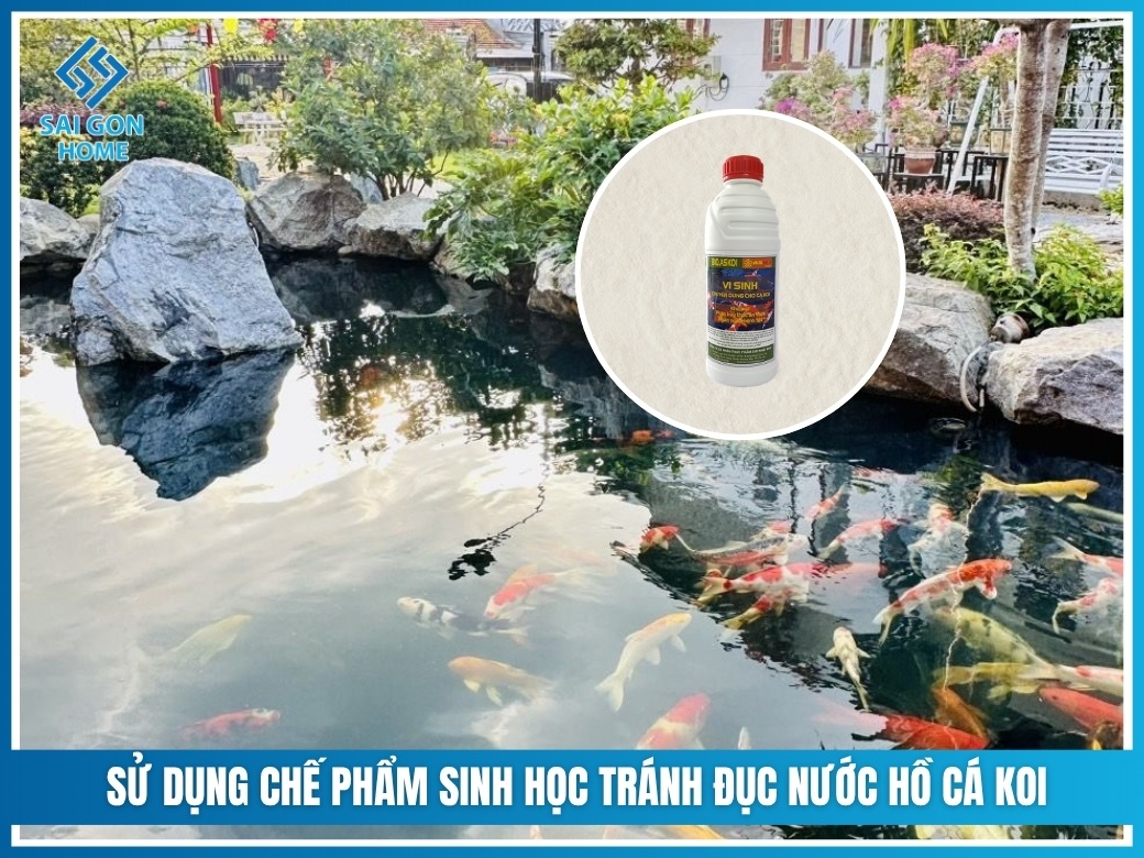8 cách làm trong nước hồ cá Koi nhanh AN TOÀN hiệu quả 10 Sử dụng chế phẩm sinh học tránh đục nước hồ cá koi