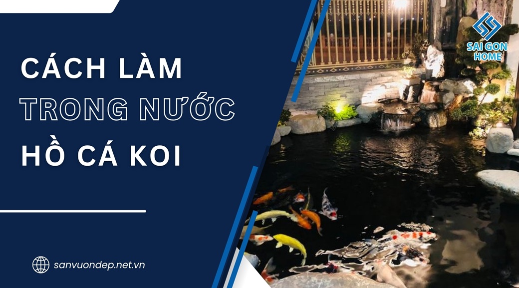 8 cách làm trong nước hồ cá Koi nhanh AN TOÀN hiệu quả 7 8 cách làm trong nước hồ cá Koi nhanh AN TOÀN hiệu quả - Sanvuondep.net.vn
