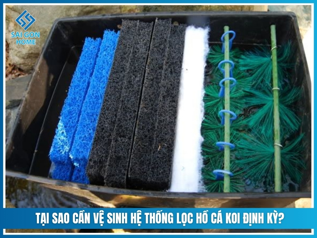Hướng dẫn cách vệ sinh hệ thống lọc hồ cá koi từ A - Z 7 Tại sao cần vệ sinh hệ thống lọc hồ cá Koi định kỳ?