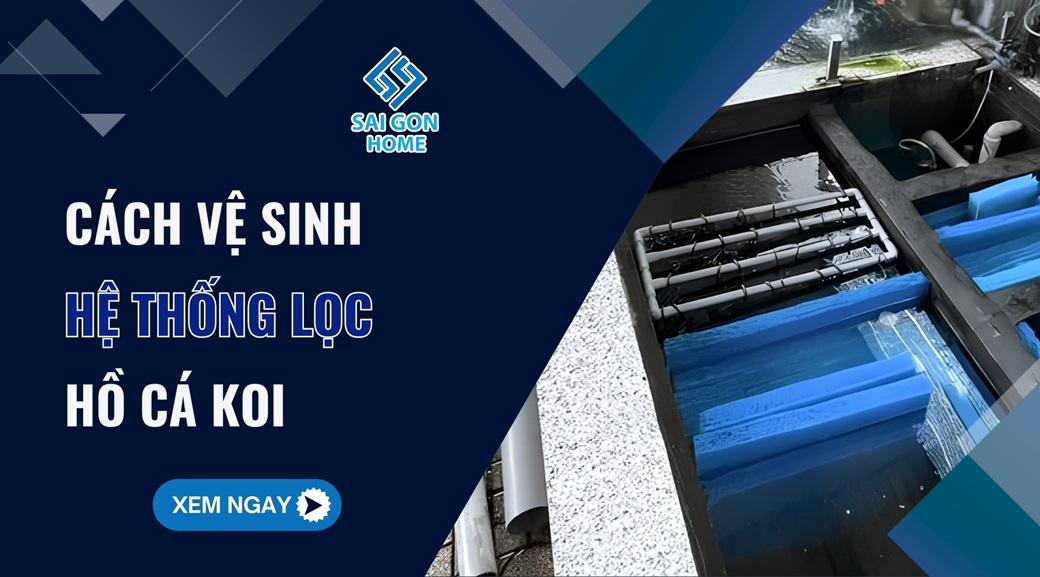 Hướng dẫn cách vệ sinh hệ thống lọc hồ cá koi từ A - Z 6 Hướng dẫn cách vệ sinh hệ thống lọc hồ cá koi từ A - Z - Sanvuondep.net.vn